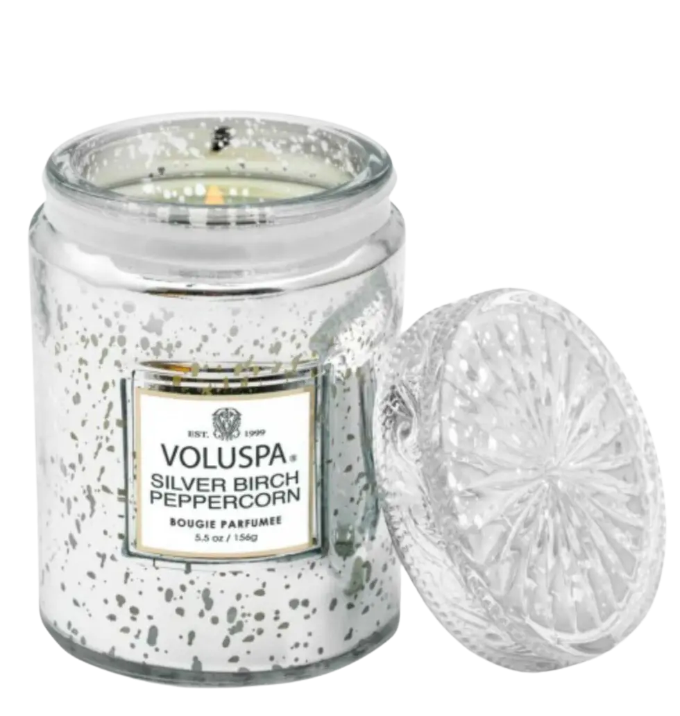 Свеча Silver Birch Peppercorn 156г, стакан с крышкой 0ff0ea9a-bd10-4bdc-8d27-87ad558a640d