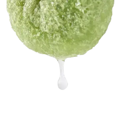 GREEN TEA KONJAC SPONGE спонж для очищения кожи GREEN TEA KONJAC SPONGE спонж для очищения кожи3