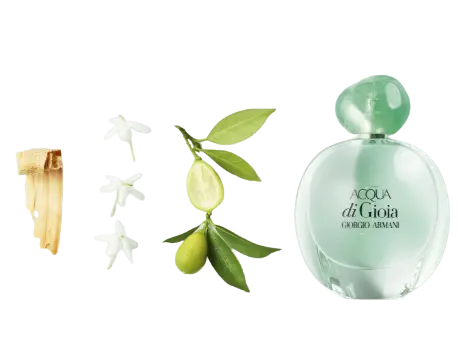Acqua di Gioia жен., edp 30ml Acqua di Gioia жен., edp 100ml3