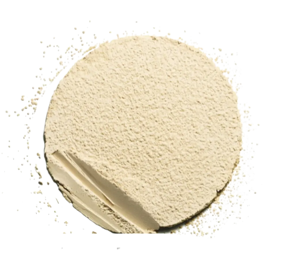 Пудра рассыпчатая для лица Ever Matte Loose Powder, 01 15g Пудра рассыпчатая для лица Ever Matte Loose Powder, 01 15g3